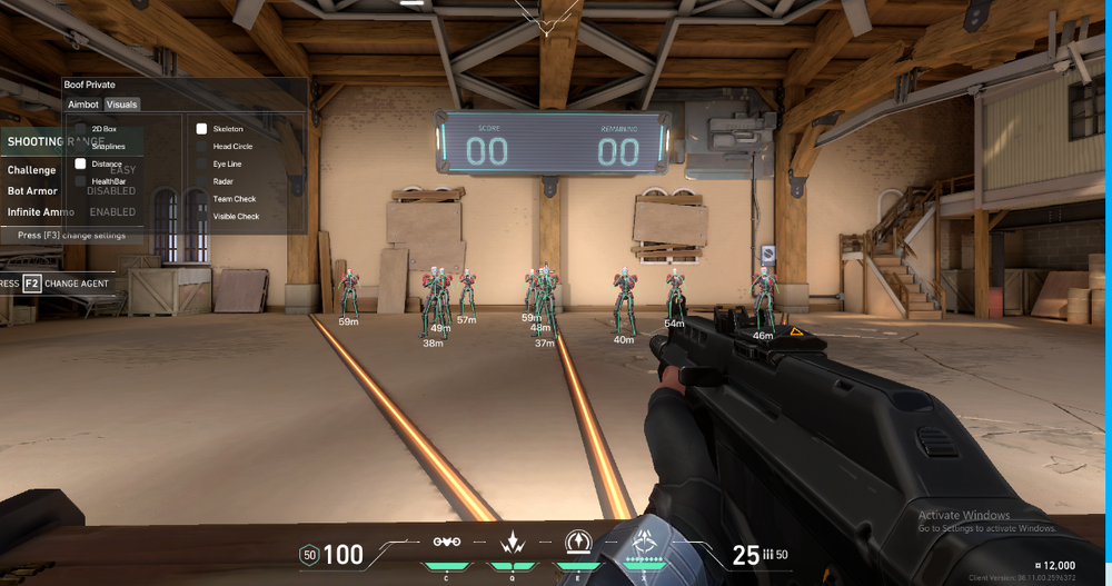VALORANT Hacks Menu