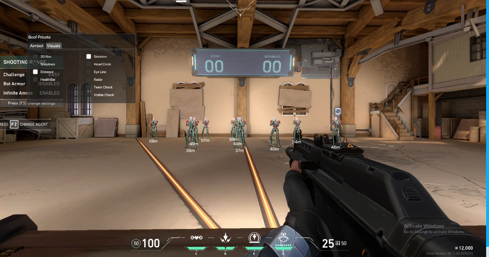 Valorant Aimbot Features