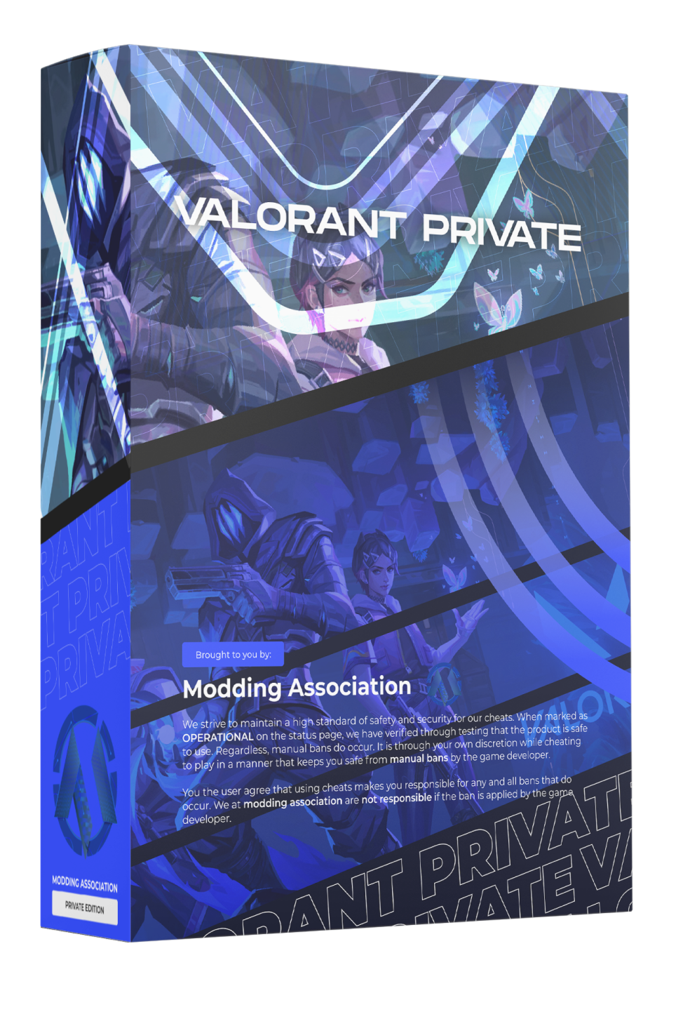 Valorant Private Hacks